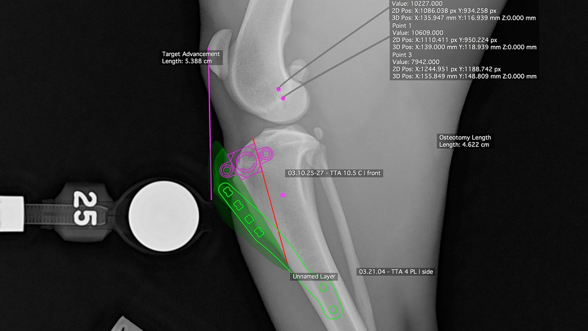 Veterinary Digital Templating KYON